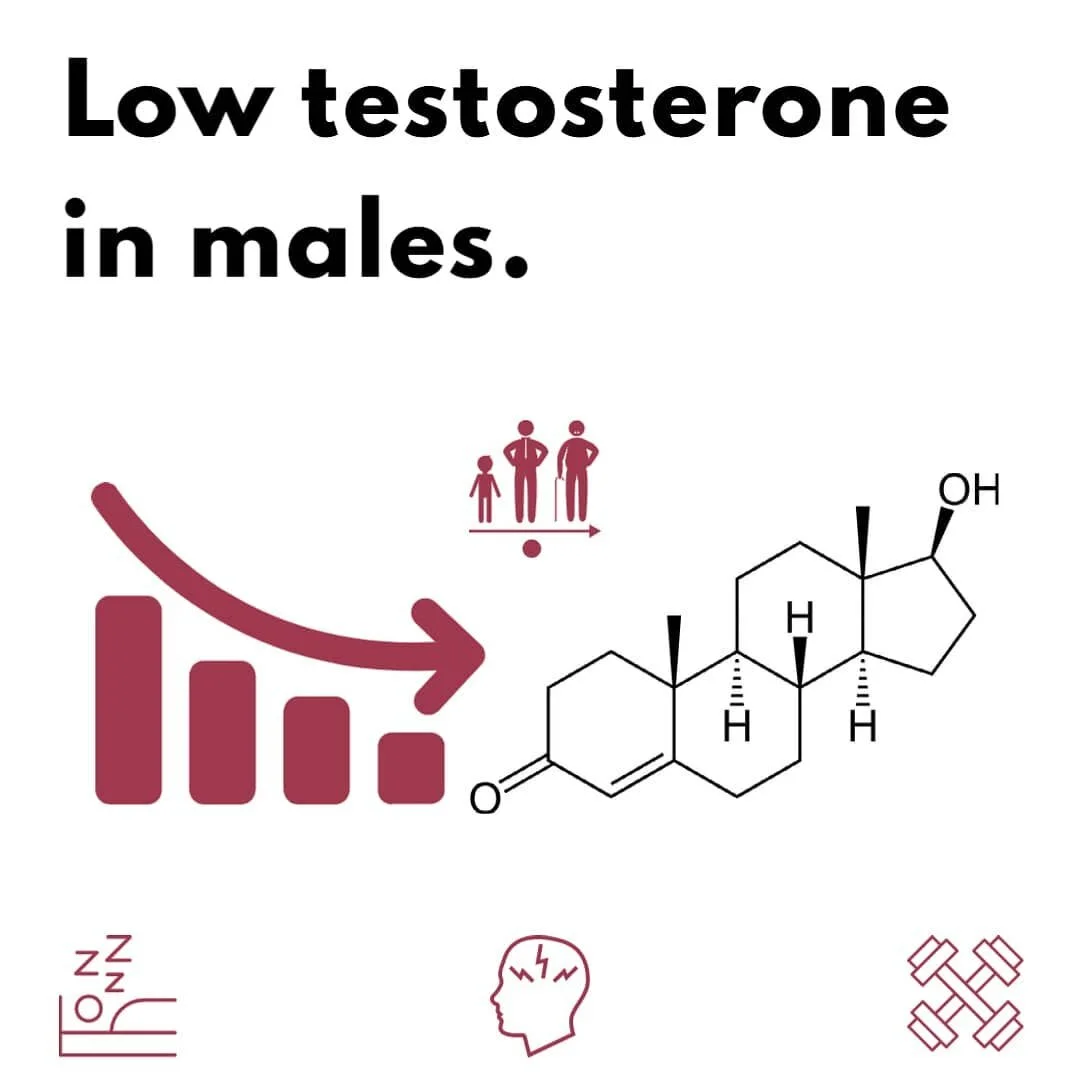 Testosterone, the primary male androgen, produced by the gonads (in both sexes) and in smaller quantities by your...