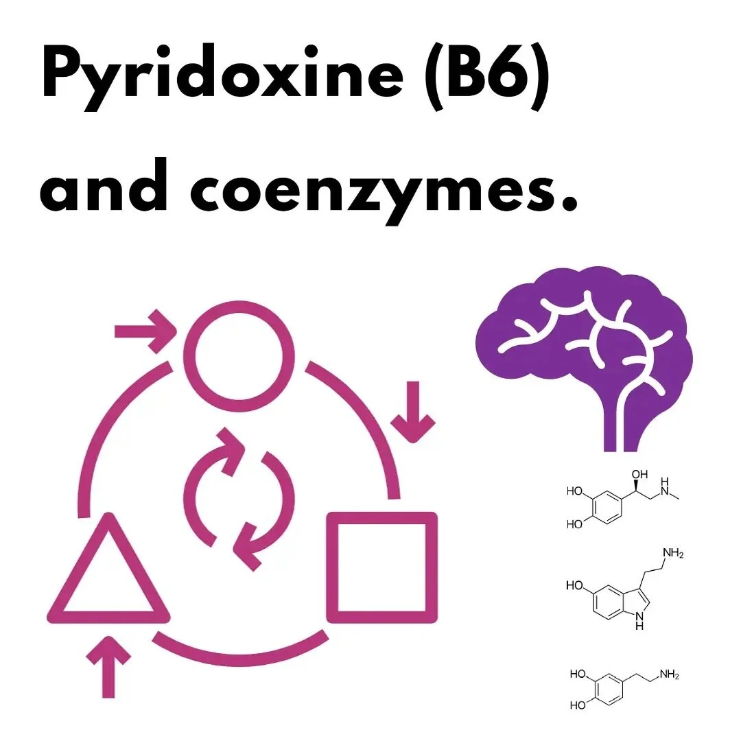 Pyridoxin, otherwise known as B6, is one of eight B vitamins. It is a water soluble vitamin that in its active form,...