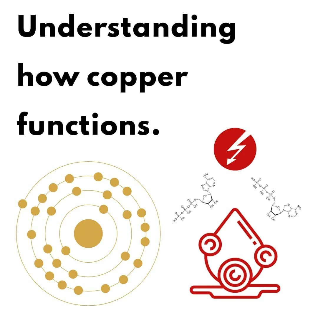 When we think of copper, we might jump to toxicity. Perhaps you've read articles suggesting that copper is linked to...